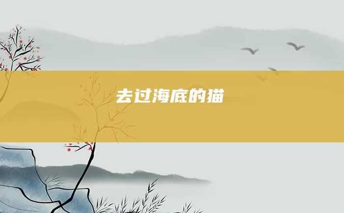 去过海底的猫