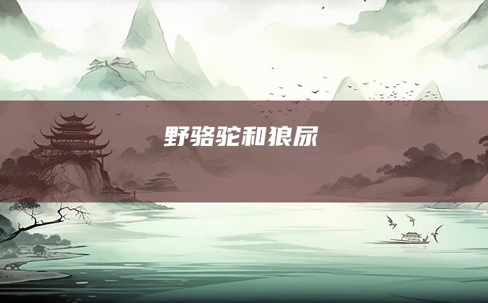 野骆驼和狼尿
