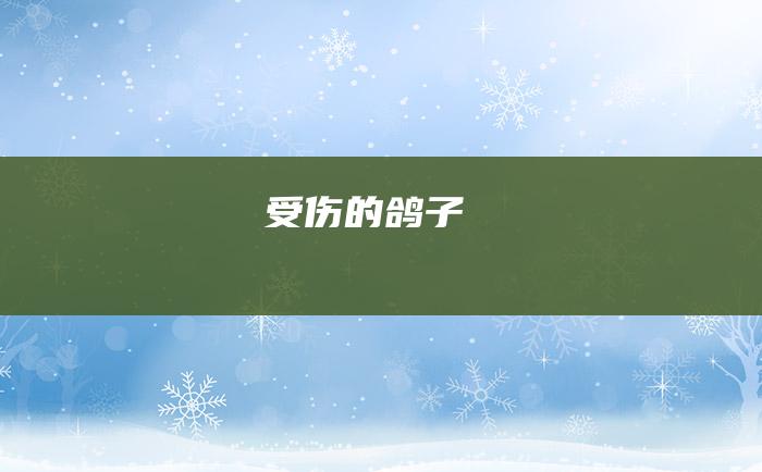 受伤的鸽子