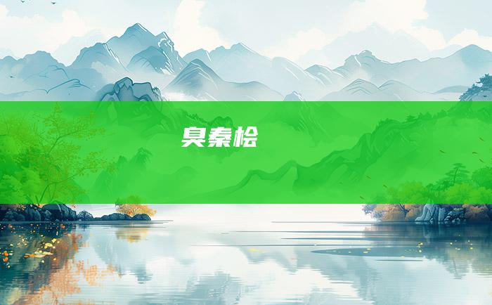 臭秦桧