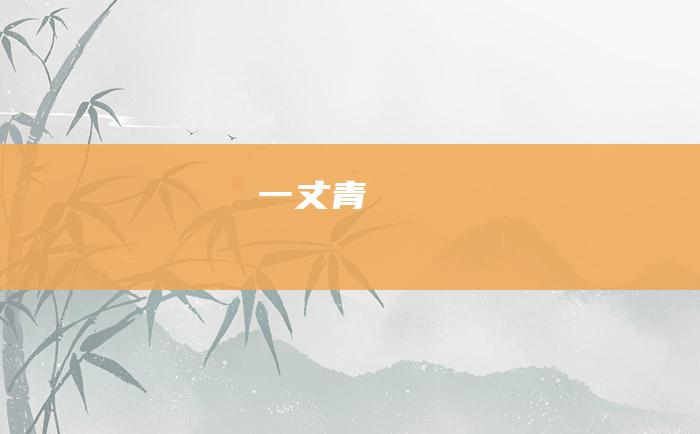 一丈青