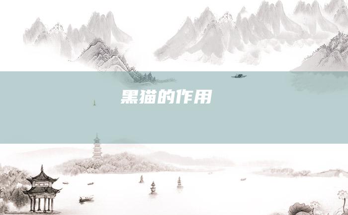 黑猫的作用
