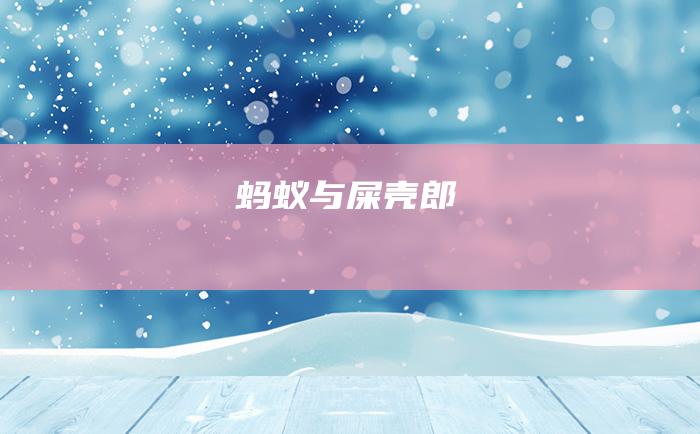 蚂蚁与屎壳郎