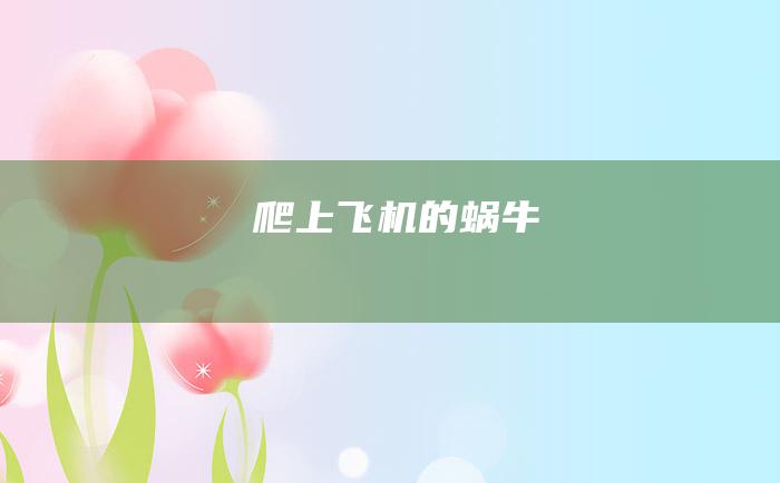 爬上飞机的蜗牛