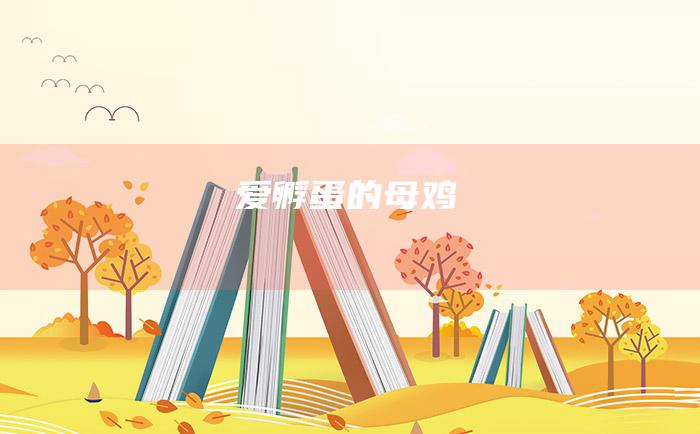 爱孵蛋的母鸡