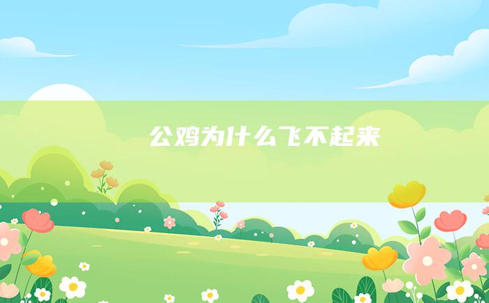 公鸡为什么飞不起来