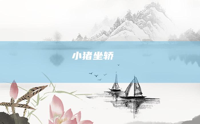 小猪坐轿