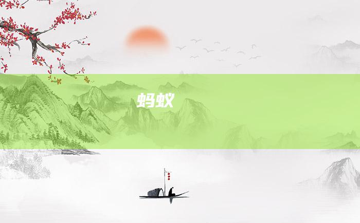 蚂蚁