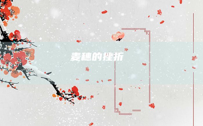 麦穗的挫折