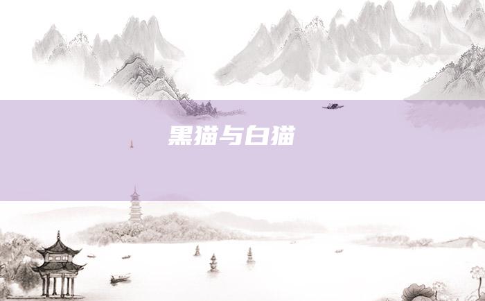 黑猫与白猫
