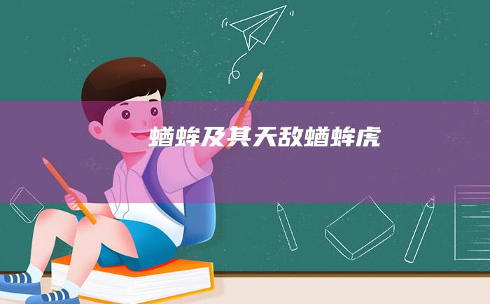 蝤蛑及其天敌蝤蛑虎
