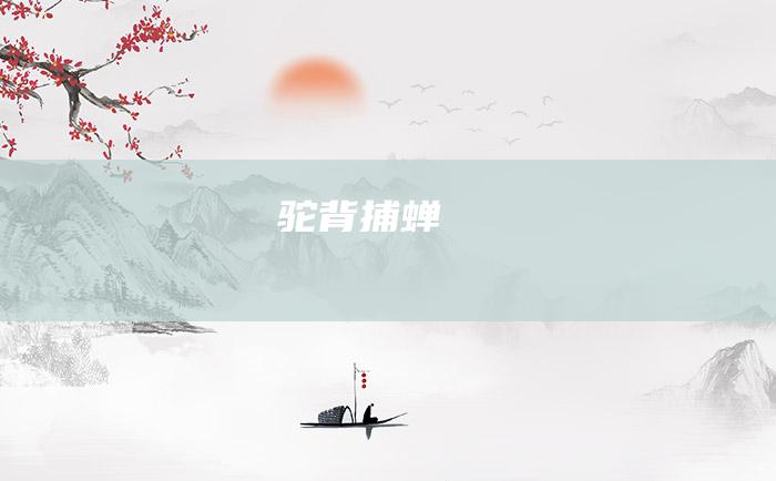驼背捕蝉