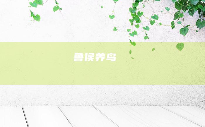 鲁侯养鸟