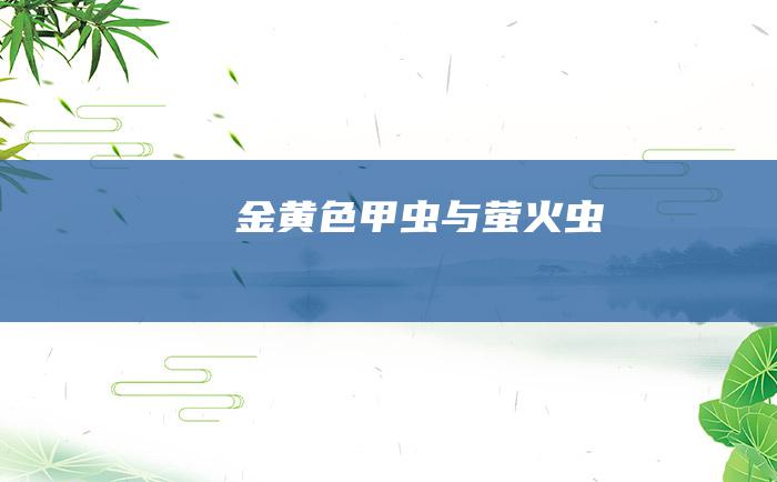 金黄色甲虫与萤火虫