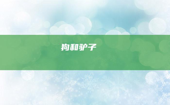 狗和驴子