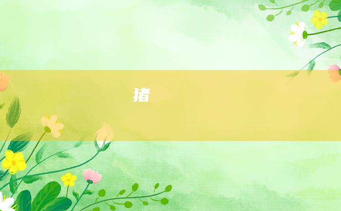 猪