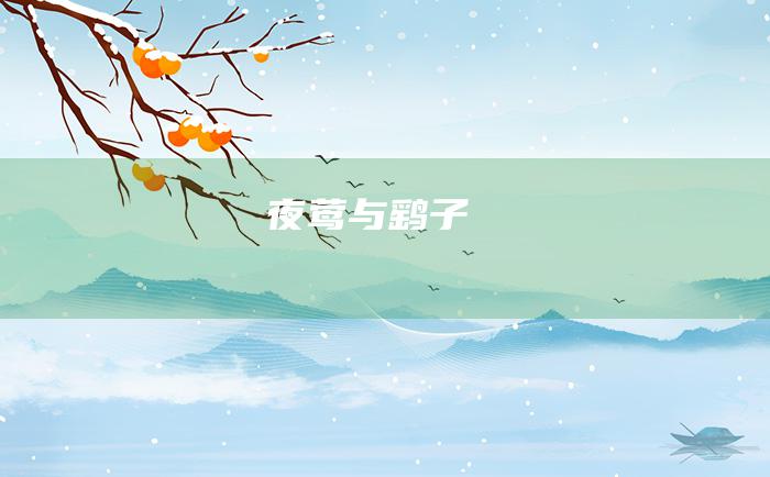 夜莺与鹞子