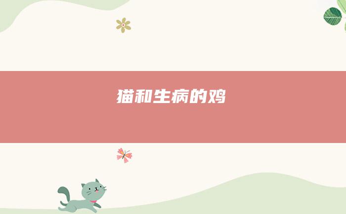 猫和生病的鸡