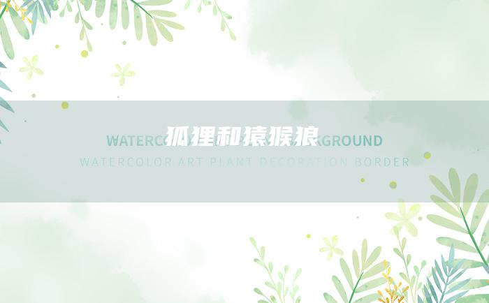 狐狸和猿猴 狼