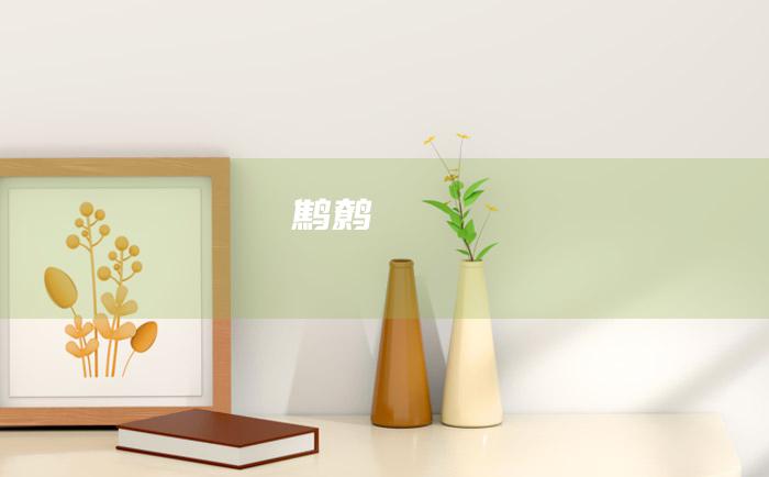 鹪鹩
