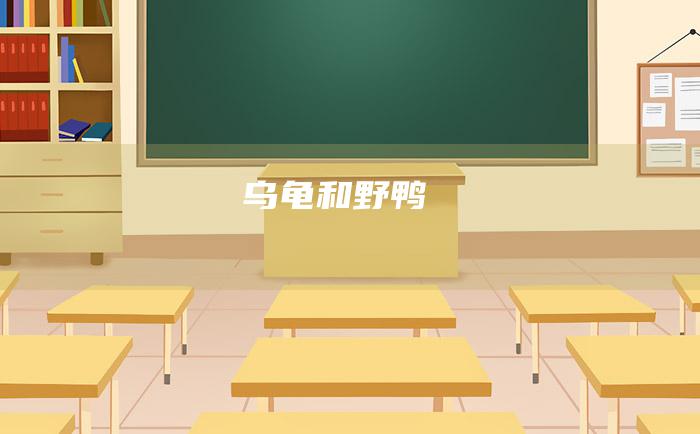 乌龟和野鸭