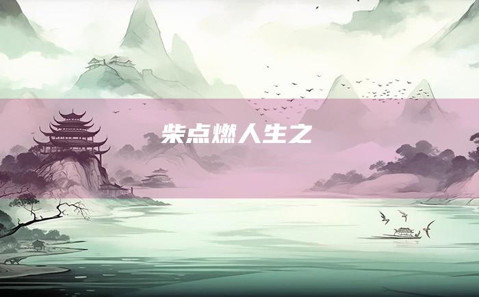 柴 点燃人生之