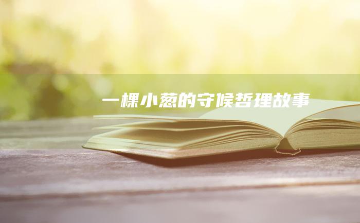 一棵小葱的守候 哲理故事