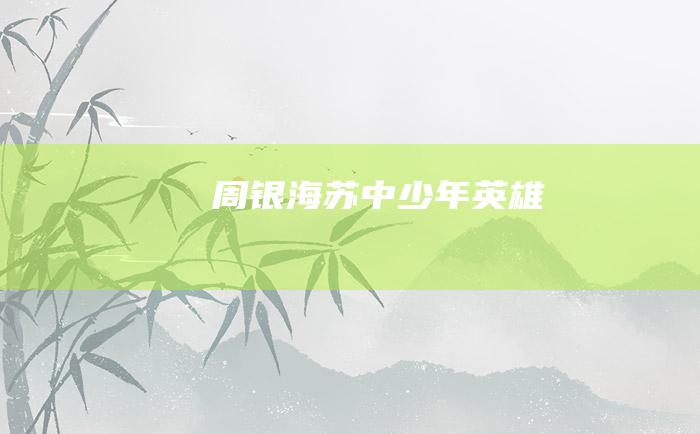 周银海 苏中少年英雄