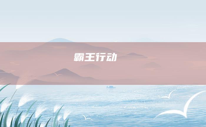 霸王 行动