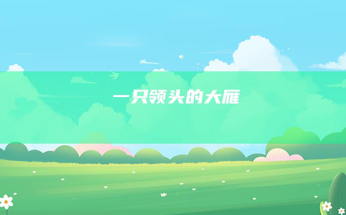 一只领头的大雁