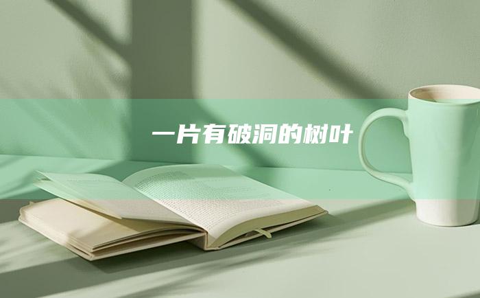 一片有破洞的树叶