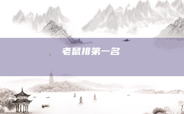 老鼠排第一名