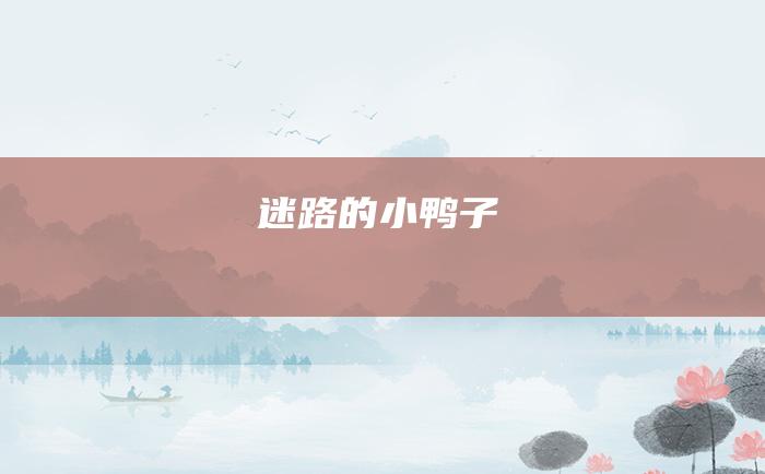 迷路的小鸭子