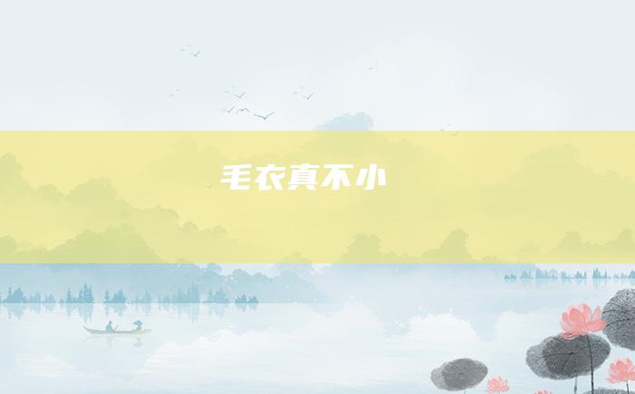 毛衣真不小