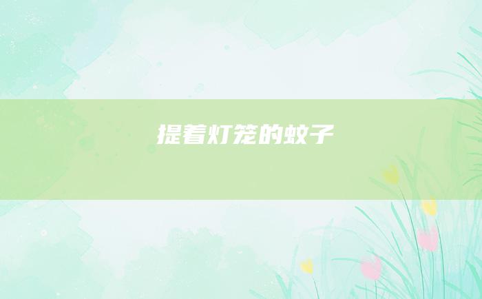 提着灯笼的蚊子