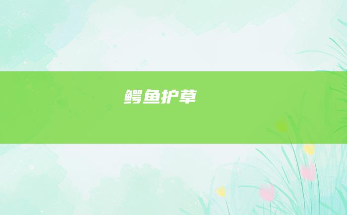 鳄鱼护草