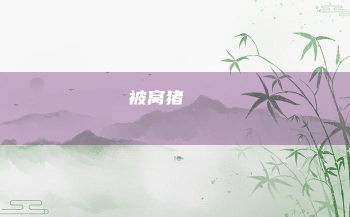 被窝猪