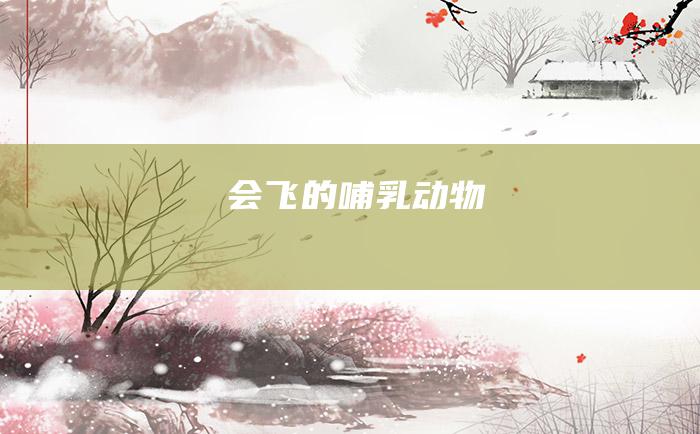 会飞的哺乳动物