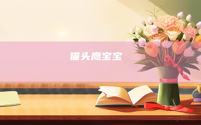 猫头鹰宝宝