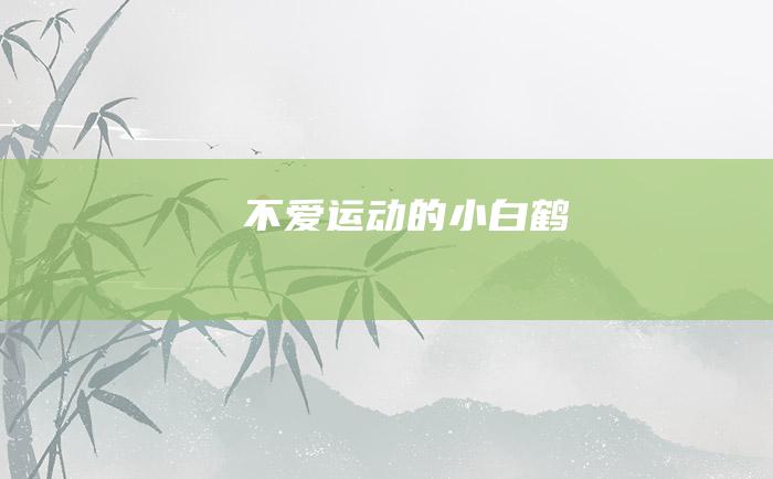 不爱运动的小白鹤