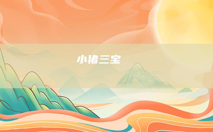 小猪三宝