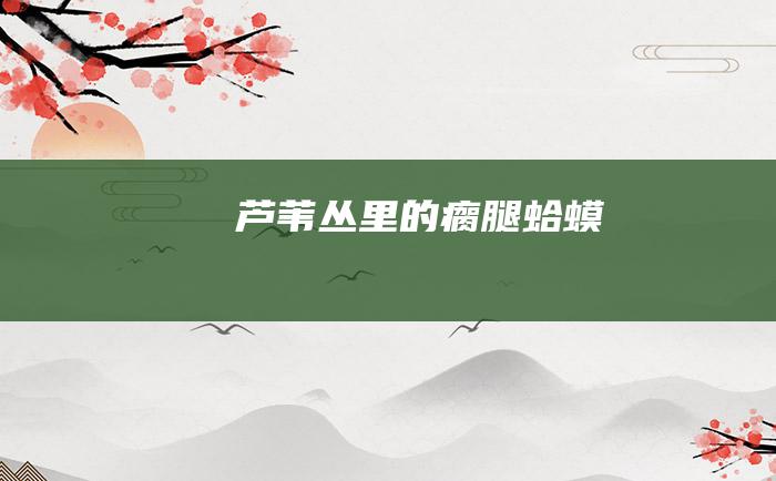 芦苇丛里的瘸腿蛤蟆