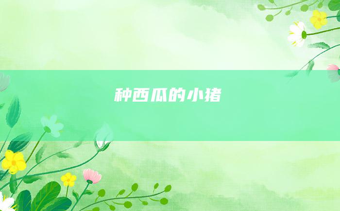 种西瓜的小猪