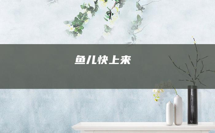 鱼儿 快上来