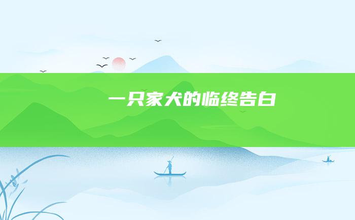 一只家犬的临终告白