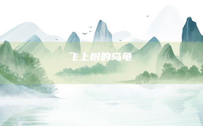 飞上树的乌龟