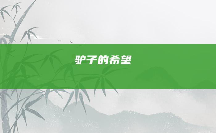 驴子的希望