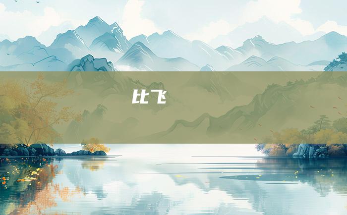 比飞