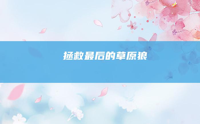 拯救最后的草原狼