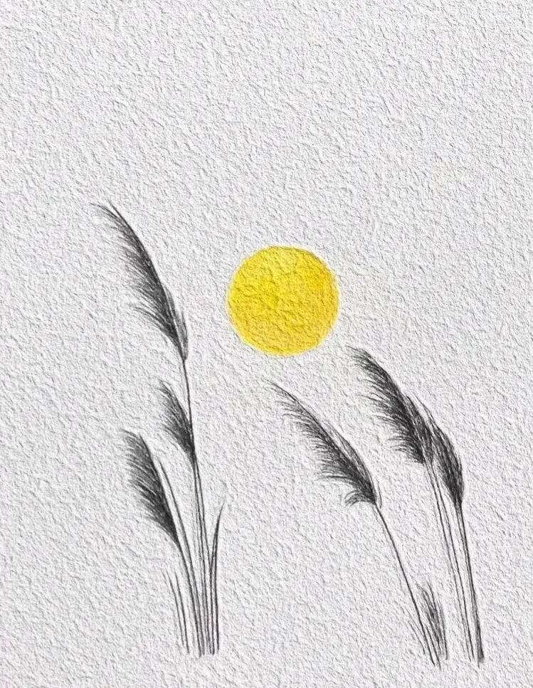 简笔画-简约却不简单的意境